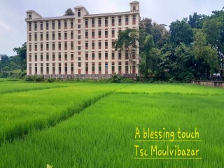 Moulvibazar Govt. Technical School and College - Slide